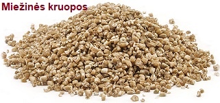 Mieins kruopos