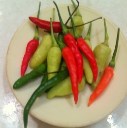 Pipirai