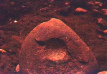 Theophrastus. Ochra