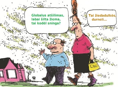 Sninga iedadulks