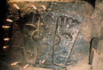 feet