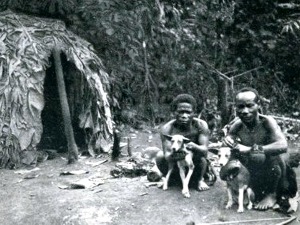 African Pigmies