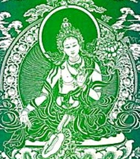 Diolma (Tara)