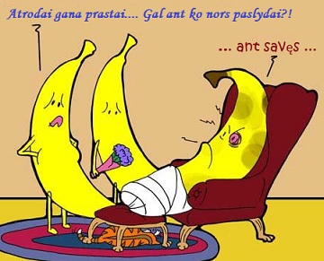 Ant ko paslydai?