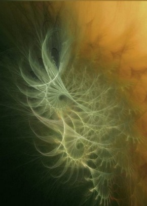 Transient Life