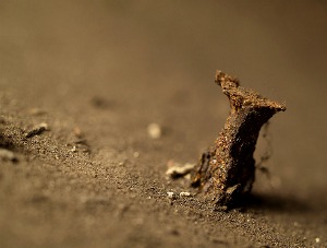 Surdijusi vinis