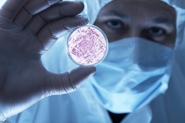 biologin ininerija