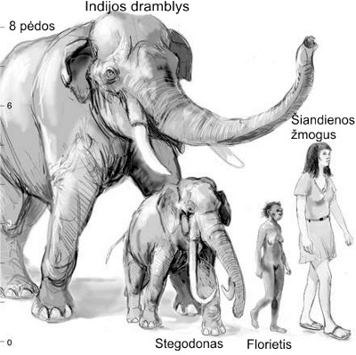 Proportions