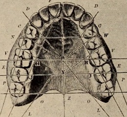 Bonvilio trikampis