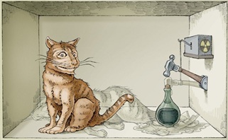 Kat dje