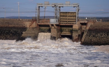 Tide Plant
