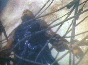 1956, Kadras filme